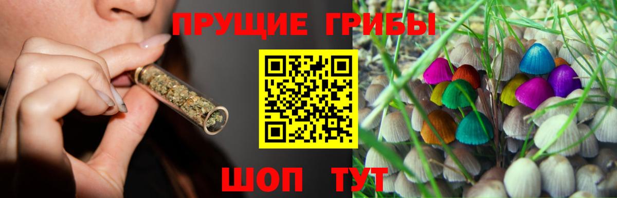 Карталы  Псилоцибиновые грибы мухоморы  Вход с VPN 